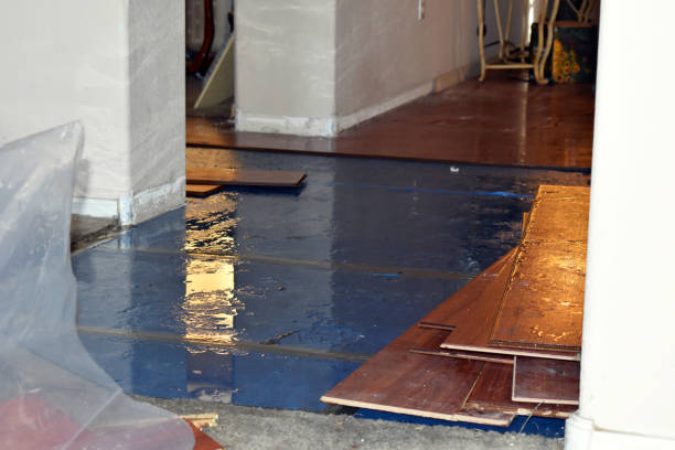Professional Basement Flood Cleanup technician working in Kenilworth, NJ